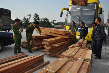 Buôn bán, vận chuyển lâm sản trái phép chiều hướng gia tăng tại các tỉnh miền Trung – Tây Nguyên