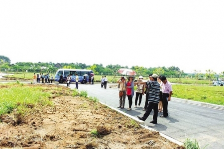 TP.HCM: Vì sao cò đất vẫn lộng hành bát nháo khắp nơi?