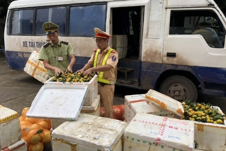 Quảng Ninh: Bắt giữ ô tô vận chuyển hơn 1000kg hoa quả không rõ nguồn gốc