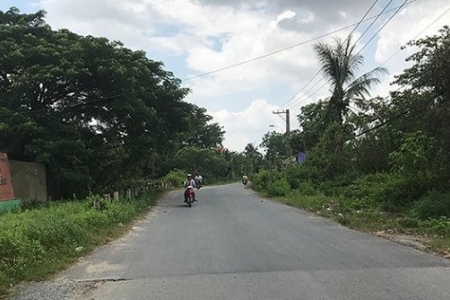 Vì sao một doanh nghiệp tư nhân lại có thể dễ dàng ôm trọn 156ha đất công tại Nông trường Dừa?