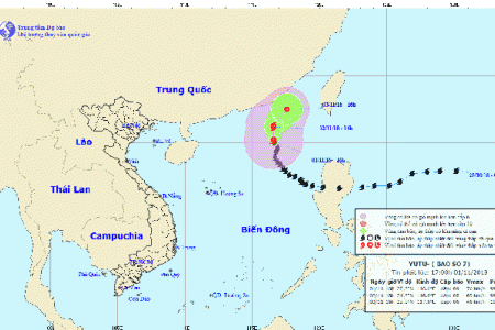 Bão số 7 giật cấp 11, biển động mạnh