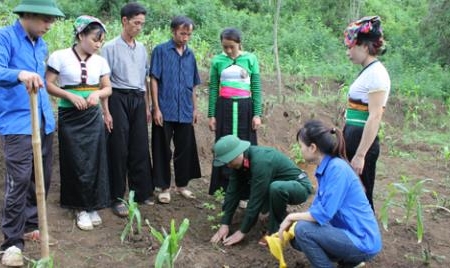 Thanh Hóa: Hỗ trợ hơn 600 triệu đồng cho chăm sóc, bảo vệ rừng tại Mường Lát