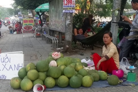 Giá bưởi da xanh tụt dốc, thương lái đổ đống bán vỉa hè