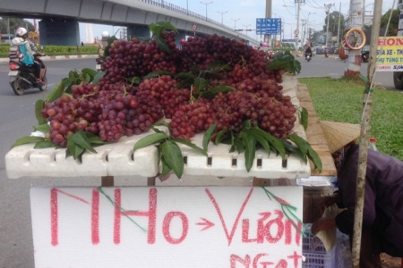 Nông sản nước ngoài “đột lốt” hàng Việt khó xử lý