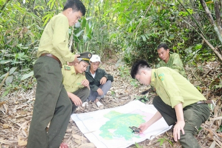 BQL Khu BTTN Pù Hoạt: Phát hiện, xử lý 195 vụ, nộp ngân sác hơn 3,7 tỷ đồng