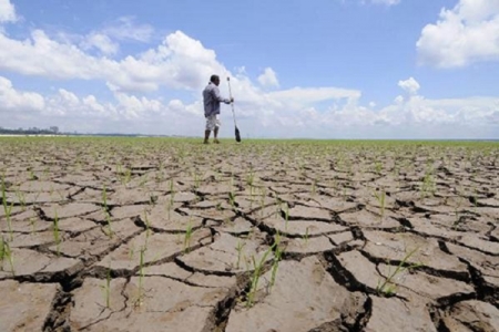 Thủ tướng Nguyễn Xuân Phúc yêu cầu tập trung ứng phó với hiện tượng El Nino