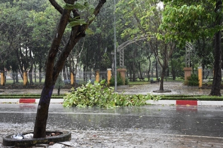 Bà Rịa Vũng Tàu, đã xuất hiện cây gãy do bão số 9, mưa lớn trên diện rộng