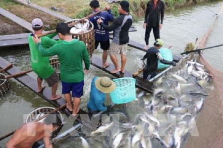 An Giang: "Trải thảm" mời gọi doanh nghiệp về đầu tư