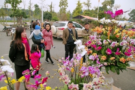 Tăng cường các biện pháp bảo đảm đón Tết Nguyên đán Kỷ Hợi vui tươi, an toàn, tiết kiệm