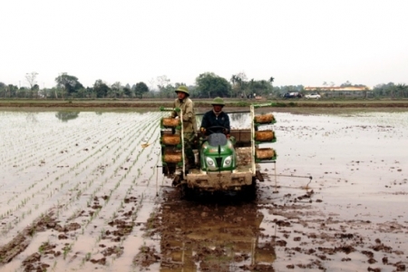 Vĩnh Tường (Vĩnh Phúc): Dồn thửa, đổi ruộng thành “cánh đồng mẫu lớn”