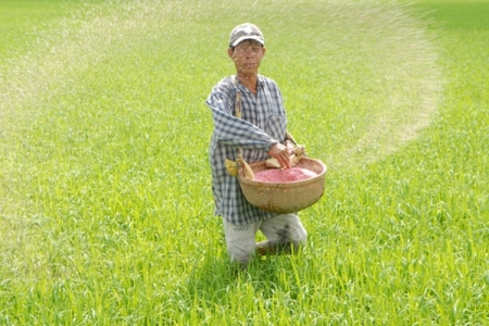 Bộ NN&PTNT: Rà soát, loại khỏi thị trường hàng ngàn sản phẩm phân bón, thuốc kém chất lượng