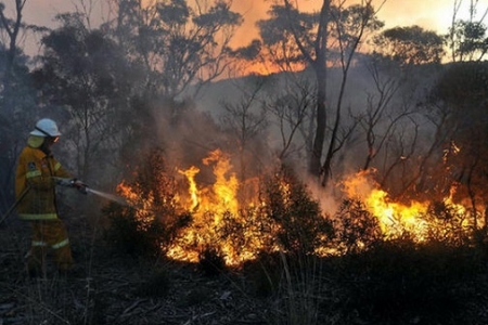 Australia: Cháy lớn do nắng nóng kỷ lục