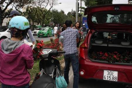 Đua nhau lấy hoa trang trí, phục vụ hội nghị Mỹ-Triều: Hình ảnh vô cùng phản cảm!