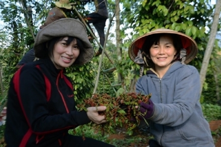 Giá nông sản ngày 6/3/2019: Giá cà phê, tiêu đồng loạt tăng