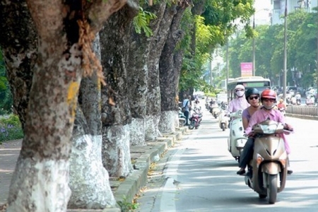 Dự báo thời tiết ngày 13/3/2019: Bắc Bộ có mưa vào sáng sớm, trưa trời hửng nắng