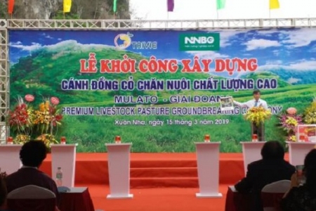 Sơn La: Khởi công dự án trồng cỏ chất lượng cao