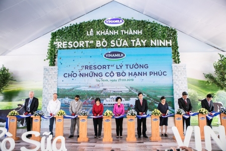 ‘Resort” bò sữa Vinamilk Tây Ninh: Ngôi nhà lý tưởng của những cô bò hạnh phúc