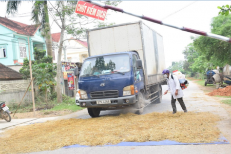 Nghệ An: Phát hiện ổ dịch tả lợn châu Phi thứ ba