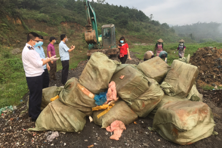 Quảng Ninh: Tiêu hủy 1.620 kg nầm lợn đông lạnh