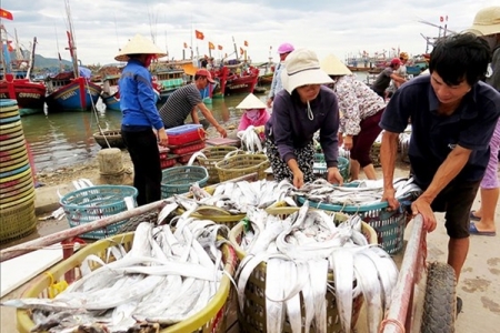 90 tấn hàng thủy sản chưa xuất khẩu được vì vướng Thông tư 21: Bộ NN&PTNT nói gì?