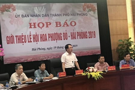 Hải Phòng: Họp báo tổ chức lễ hội Hoa Phượng Đỏ