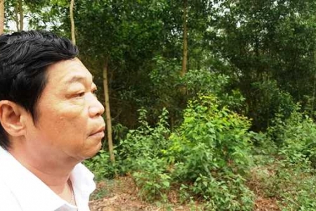 Nước mắt người giữ rừng dưới chân núi Tam Đảo