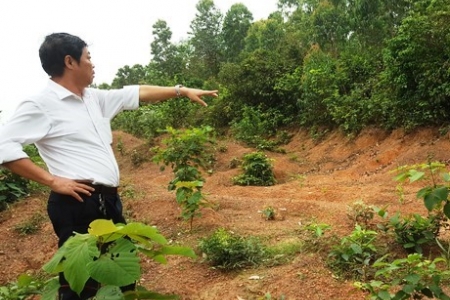 Nước mắt người giữ rừng dưới chân núi Tam Đảo – Kì 2: Gian nan cuộc chiến giữ đất, giữ rừng