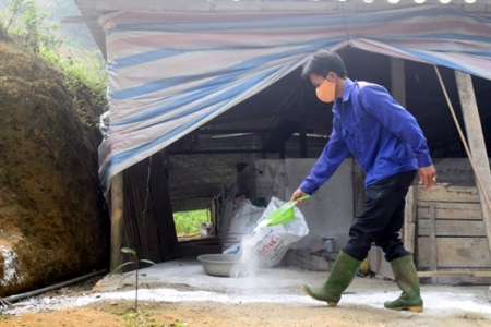 Bắc Giang: Thực hiện Tháng cao điểm phòng, chống dịch tả lợn châu Phi