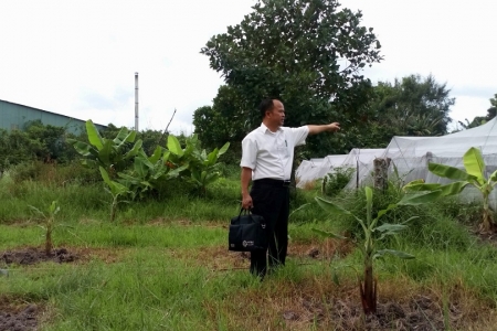 Cơ quan THADS TP. HCM: Nhùng nhằng một vụ thi hành án?