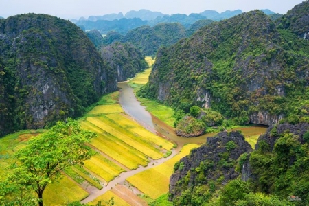 Sắc vàng Tam Cốc – Tràng An