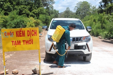 Gia Lai: Xuất hơn 3.300 lít Bencocid phòng, chống dịch tả heo Châu Phi