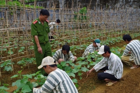 Quốc hội không thông qua quy định để phạm nhân lao động ngoài trại giam