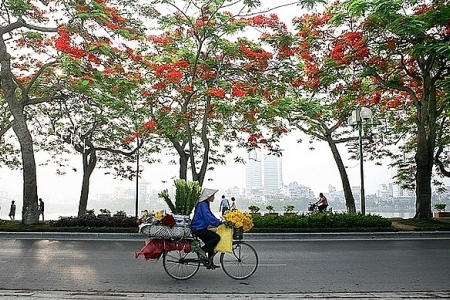 Dự báo thời tiết ngày 19/6: Hà Nội đêm và sáng sớm có mưa