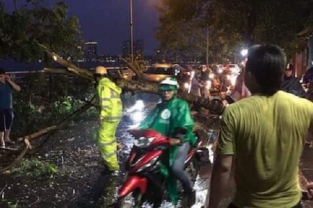 Bão số 2: Hà Nội mưa to gió lớn, cây đổ đè trúng người đi đường