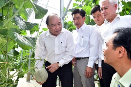 100.000 doanh nghiệp và mục tiêu hàng đầu thế giới về nông sản