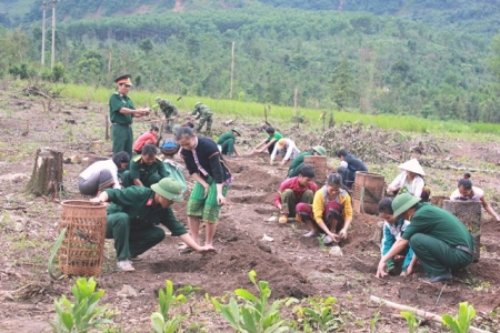 Quảng Trị : Cùng bảo vệ, làm xanh những cánh rừng