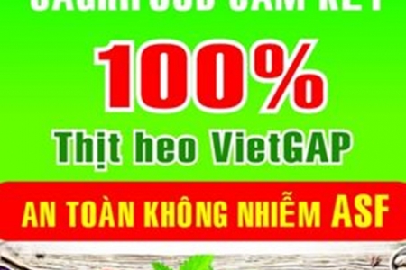 Sagrifood cam kết thịt heo VietGAP an toàn không nhiễm ASF