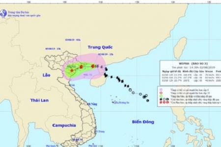 Bão số 3 giật cấp 12 cách Móng Cái khoảng 100km, cách Hải Phòng khoảng 230km, cách Nam Định khoảng 320km