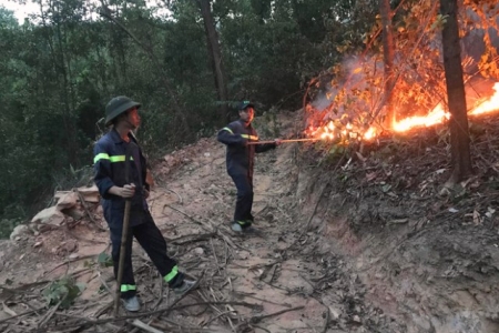 TP. Đà Nẵng: Cháy rừng đầu nguồn, hơn 200 người dập lửa nhiều giờ