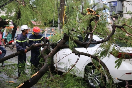 Hà Nội: Giông lốc mạnh bất chợt, hàng loạt cây đổ gây tai nạn, thương vong