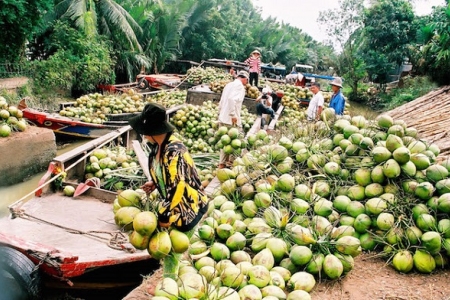 Hỗ trợ doanh nghiệp nâng cao năng lực sản xuất, xuất khẩu nông sản