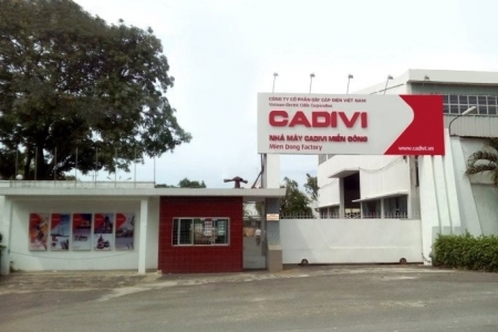 CADIVI bị phạt và truy thu thuế hơn 1,1 tỷ đồng