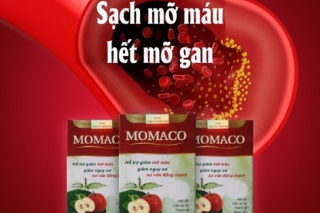Vụ quảng cáo “thổi phồng” công dụng của TPBVSK Momaco: cơ quan quản lý có đứng ngoài cuộc?
