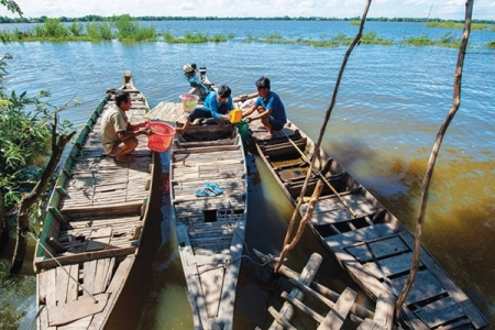 "Mùa lũ đẹp" ở Đồng bằng sông Cửu Long