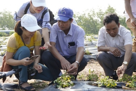 HTX 3 tỉnh miền Trung tham quan và học tập mô hình trồng sâm Bố Chính tại Quảng Bình