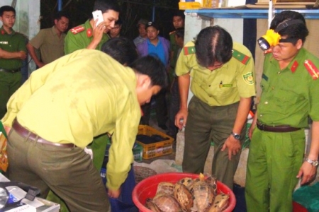 Quảng Nam: Triệt phá đường dây buôn bán, tàng trữ động vật hoang dã quý hiếm quy mô lớn