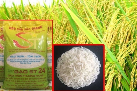 Lần đầu tiên Việt Nam đoạt giải gạo ngon nhất thế giới