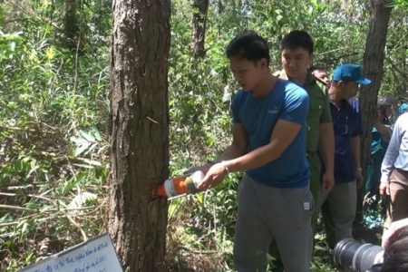 Khi buôn làng đồng thuận giữ rừng