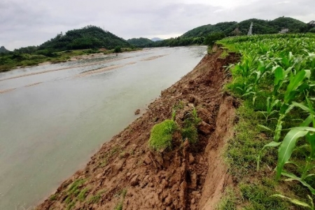Tuyên Quang: Đất nông nghiệp trôi sông vì doanh nghiệp khai thác cát