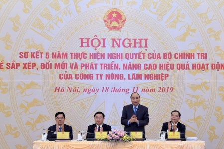 Tiếp tục đổi mới, nâng cao hiệu quả hoạt động của các công ty nông, lâm nghiệp